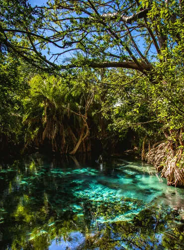 1 días: Excursión de un día desde Moshi y Kilimanjaro Privado
