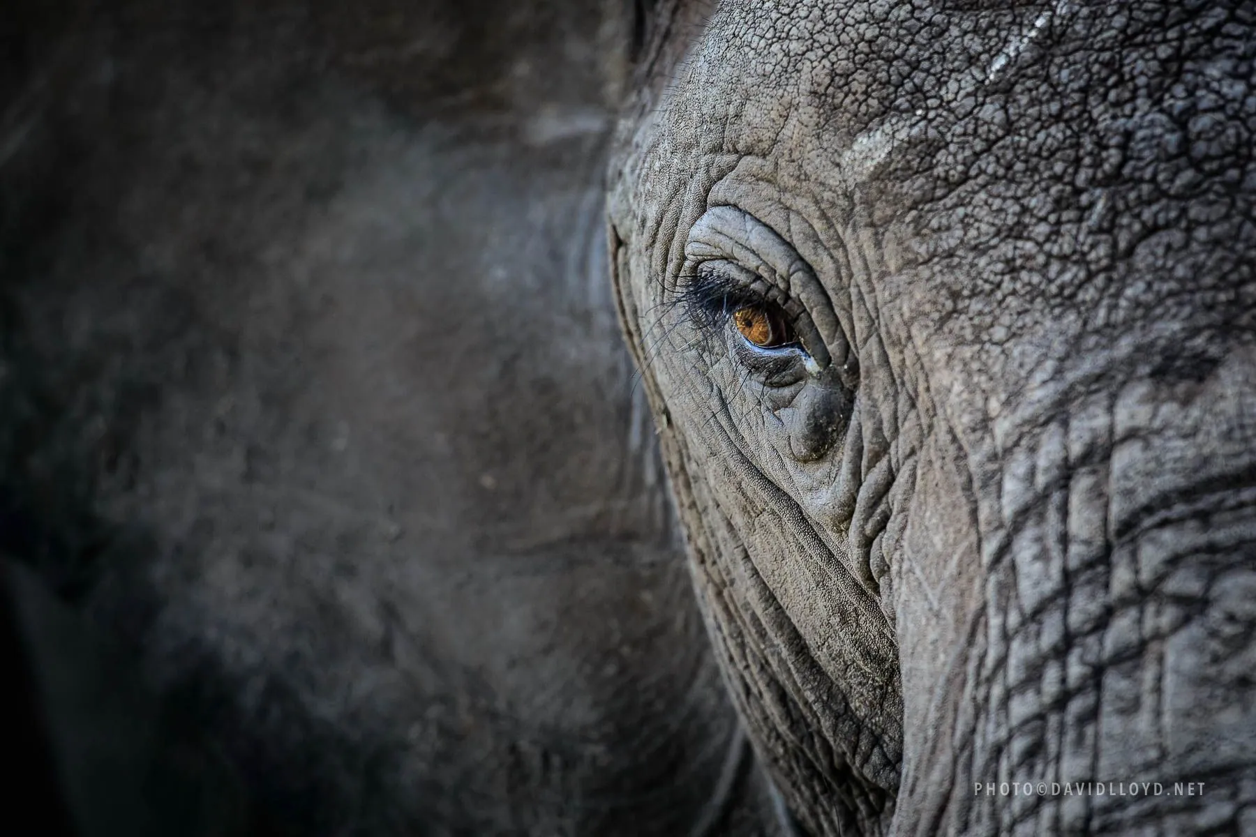 3 jours – Safari animalier du circuit nord Budget
