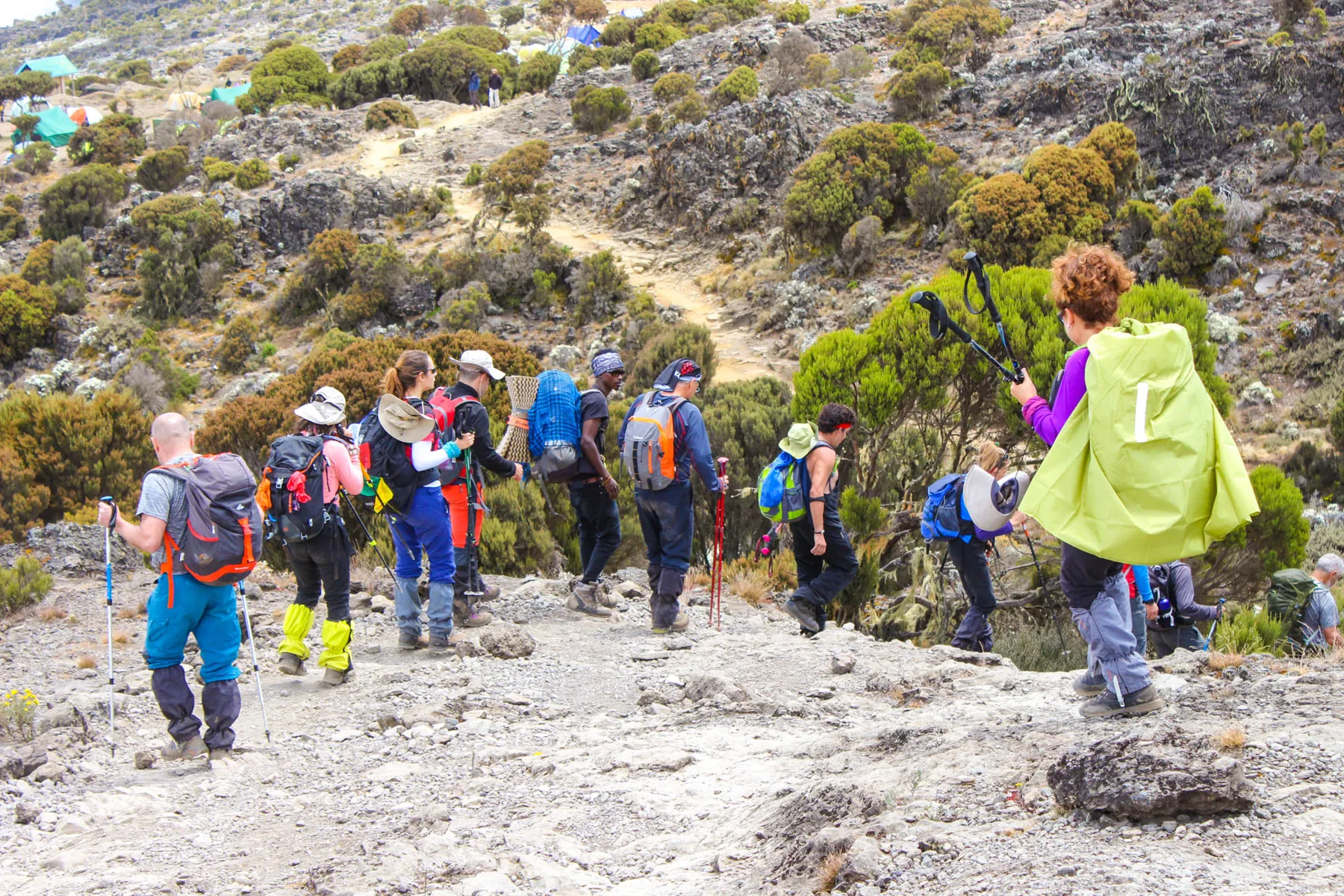 9 jours – Trek du Kilimandjaro par la voie Lemosho Privé