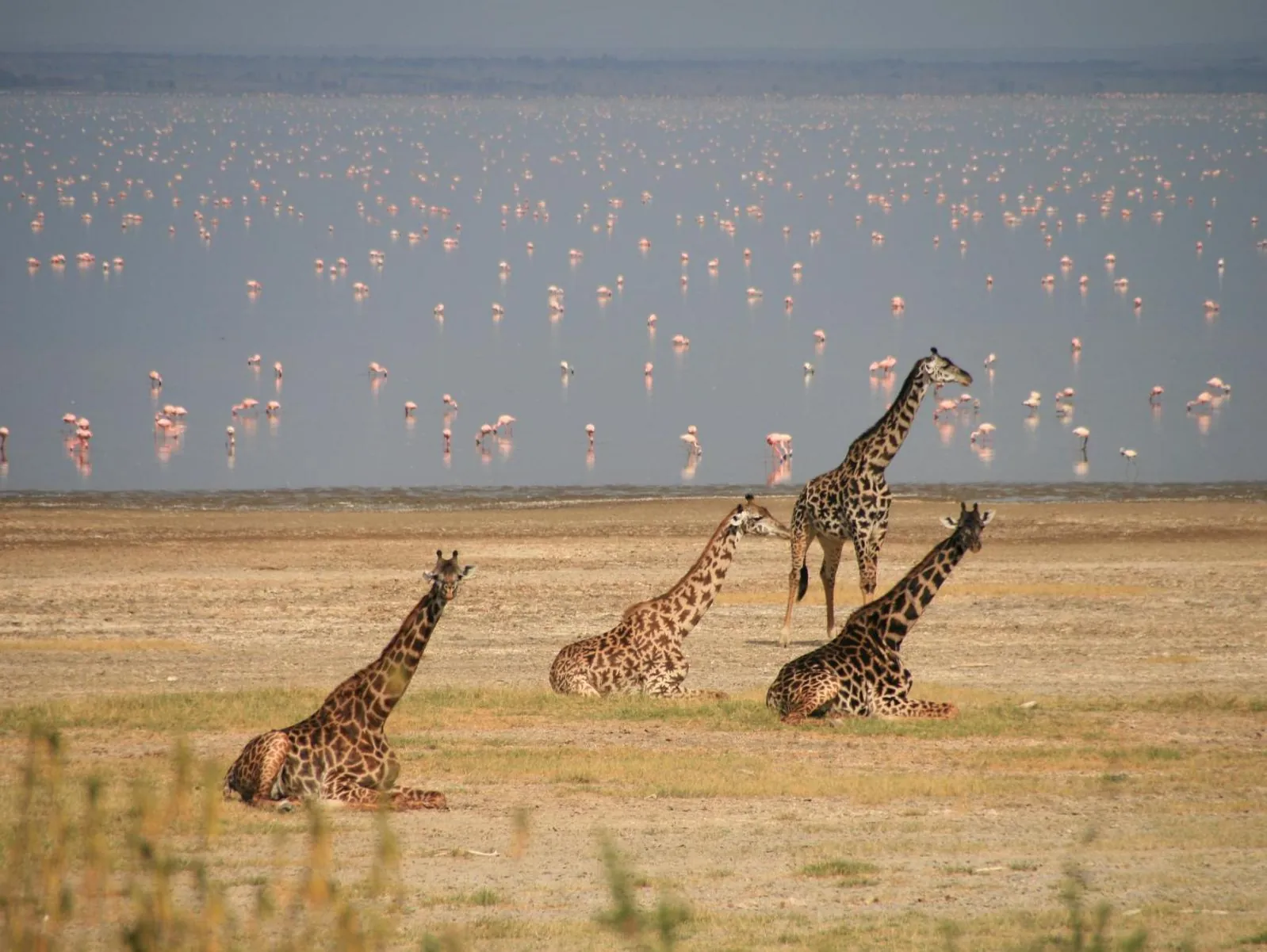 5-Day Private Bird Watching Safari