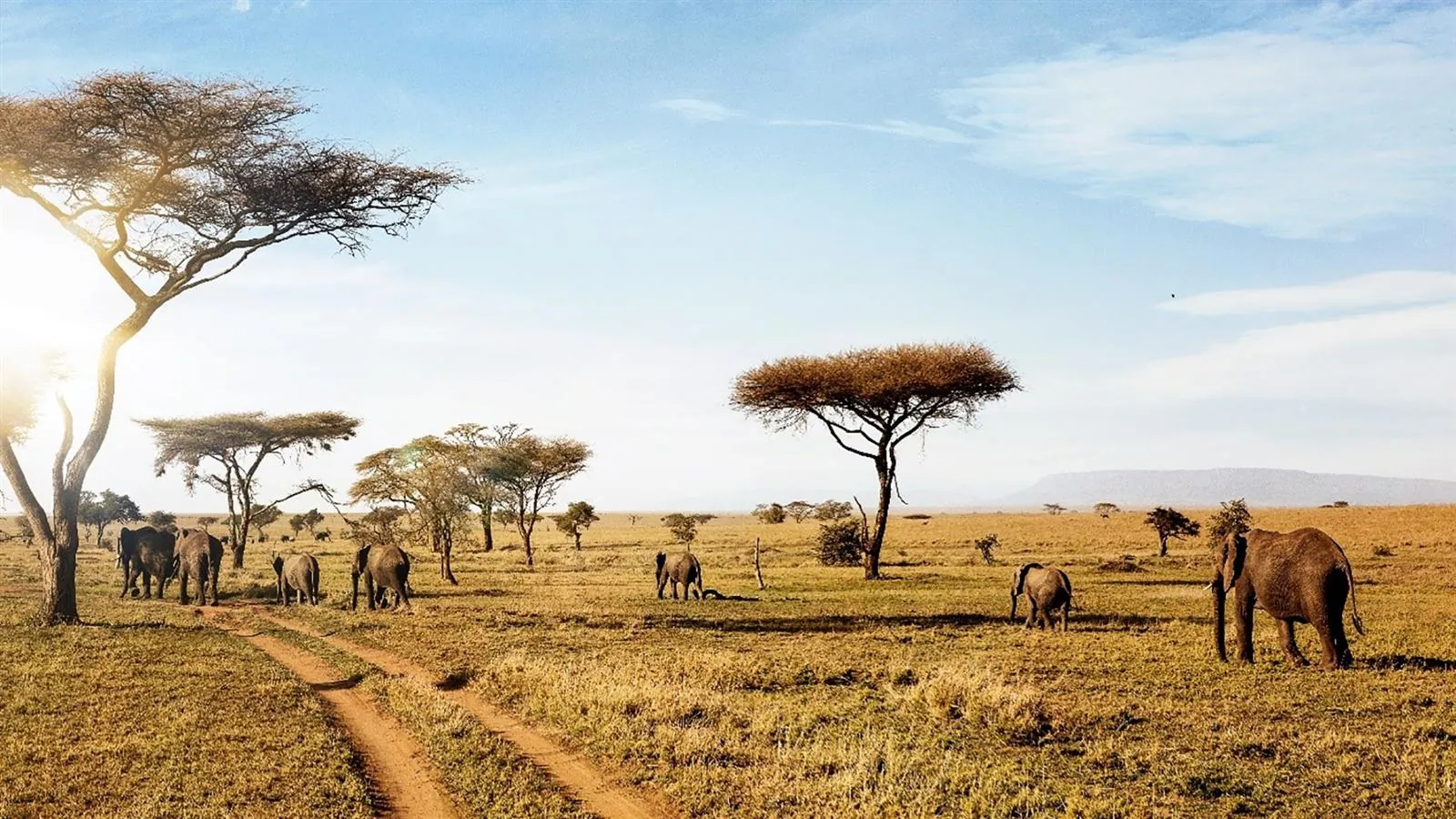 6-Day Photographic Tanzania Safari