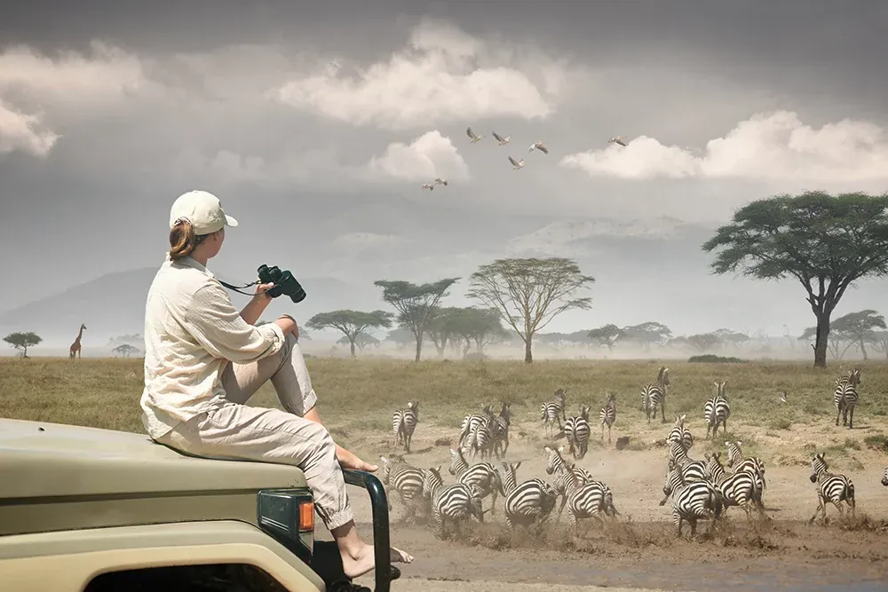 8-Day Private Serengeti Great Migration Safari
