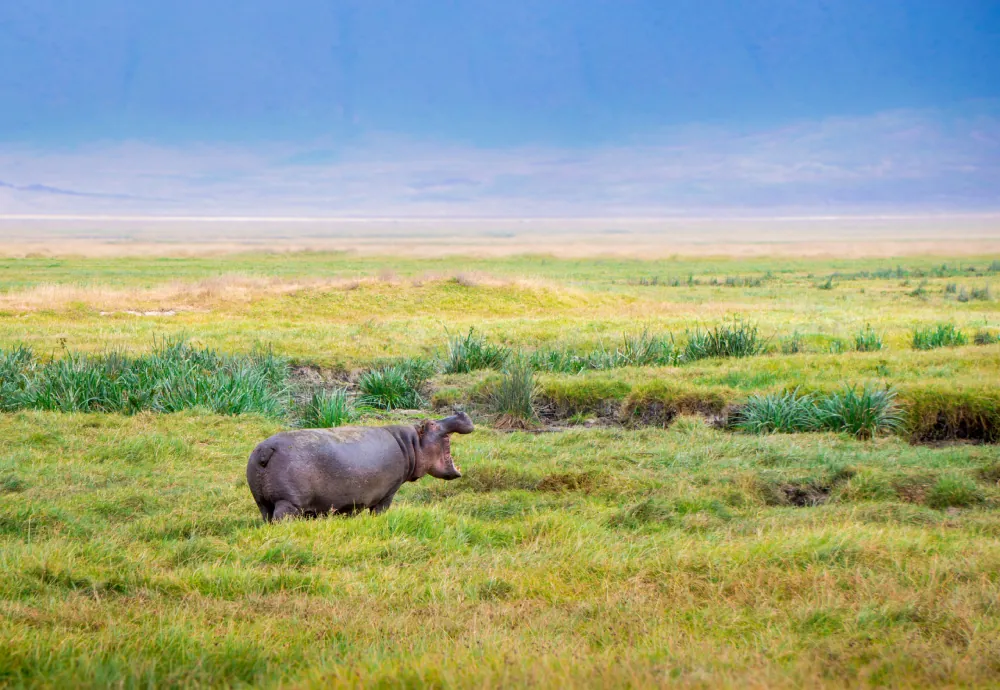 Choosing a Kilimanjaro Route