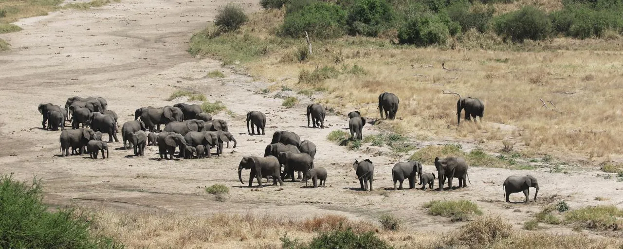 4 días: Safari de vida silvestre del Circuito Norte Privado